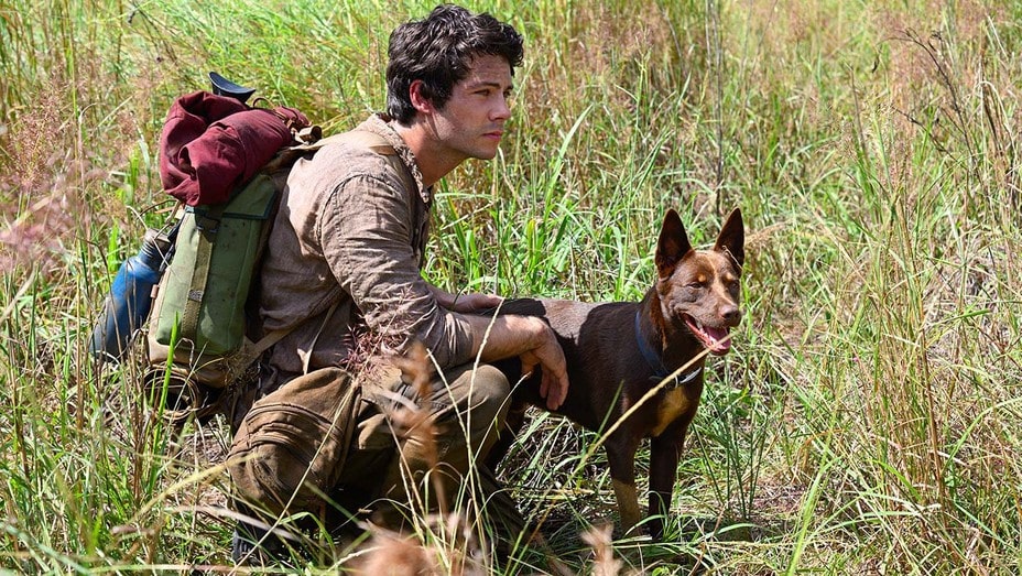 Dylan O'Brien's Love and Monsters is Coming to Netflix