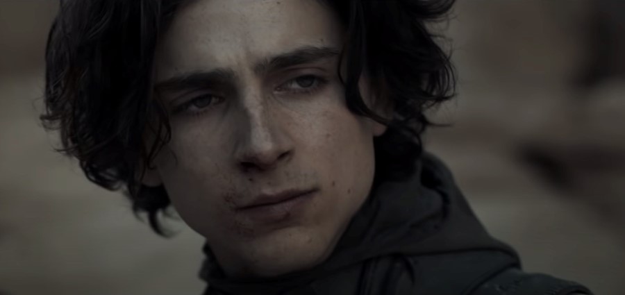 Timothée Chalamet Upcoming Movies