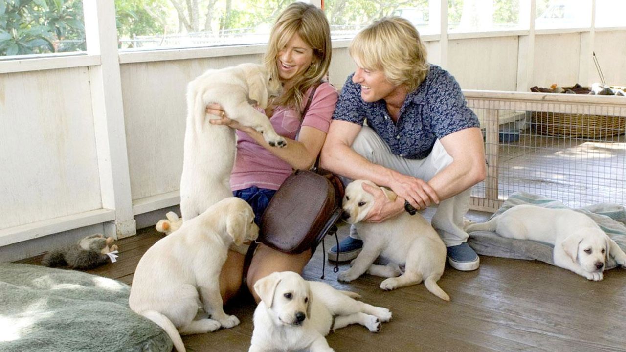 Movies Like Puppy Love