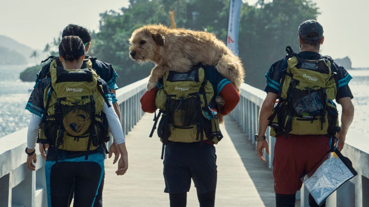 New Movies and TV Shows on Peacock May 2026